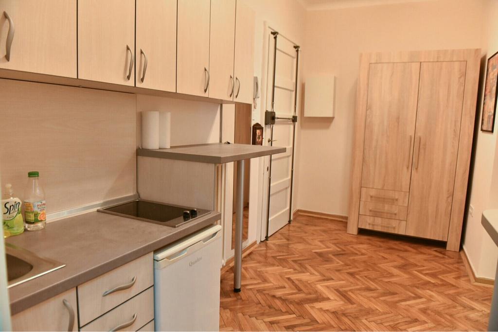 Bojan Central Apartment Novi Sad Extérieur photo