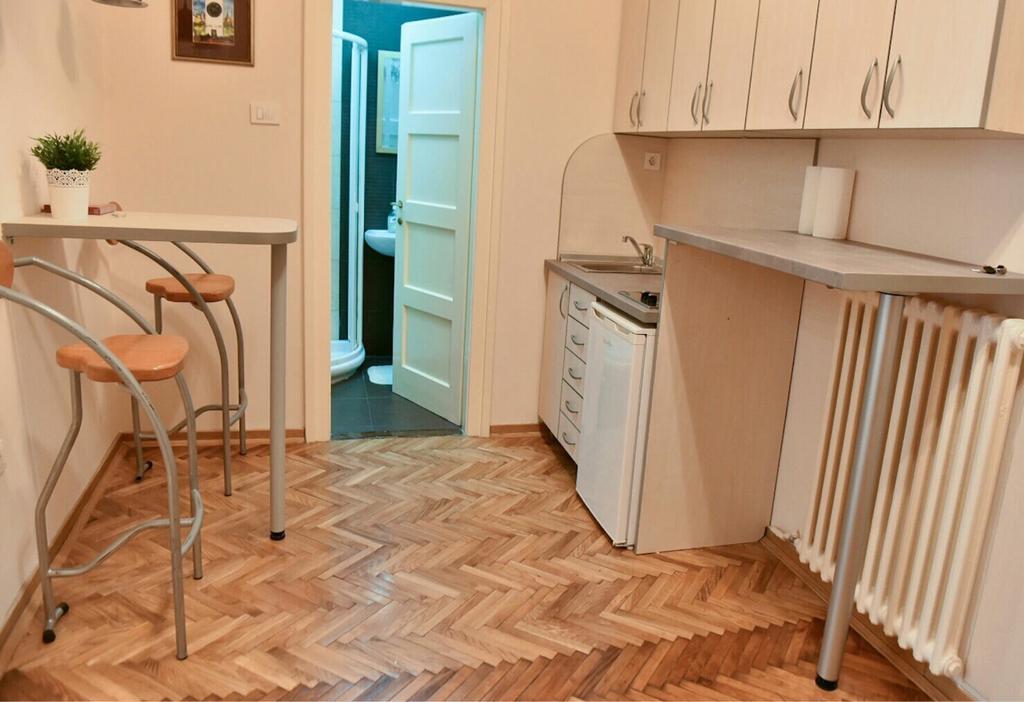 Bojan Central Apartment Novi Sad Extérieur photo