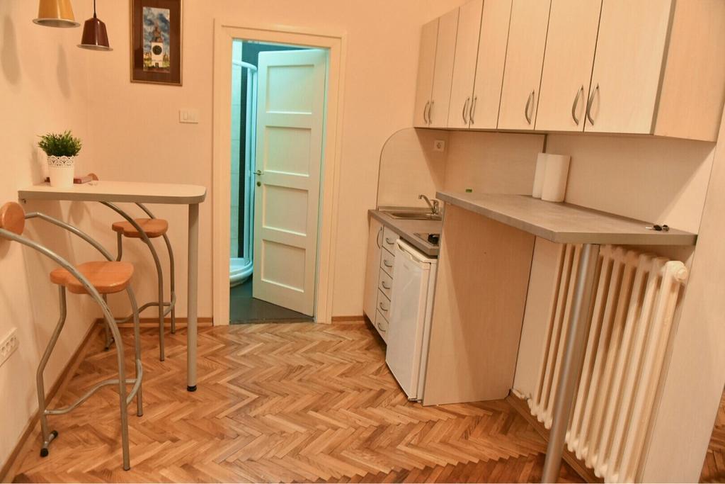 Bojan Central Apartment Novi Sad Extérieur photo